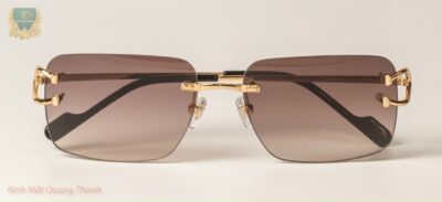 Kính Cartier CT0330S Titanium