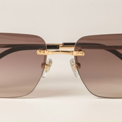 Kính Cartier CT0330S Titanium