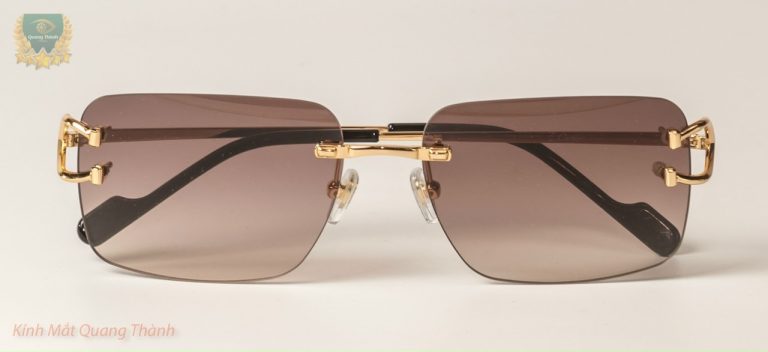 Kính Cartier CT0330S Titanium