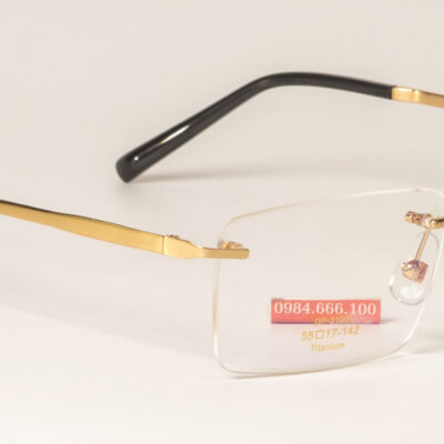 Gọng kính Dupont DP3130 Titanium