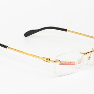 Cartier Titanium